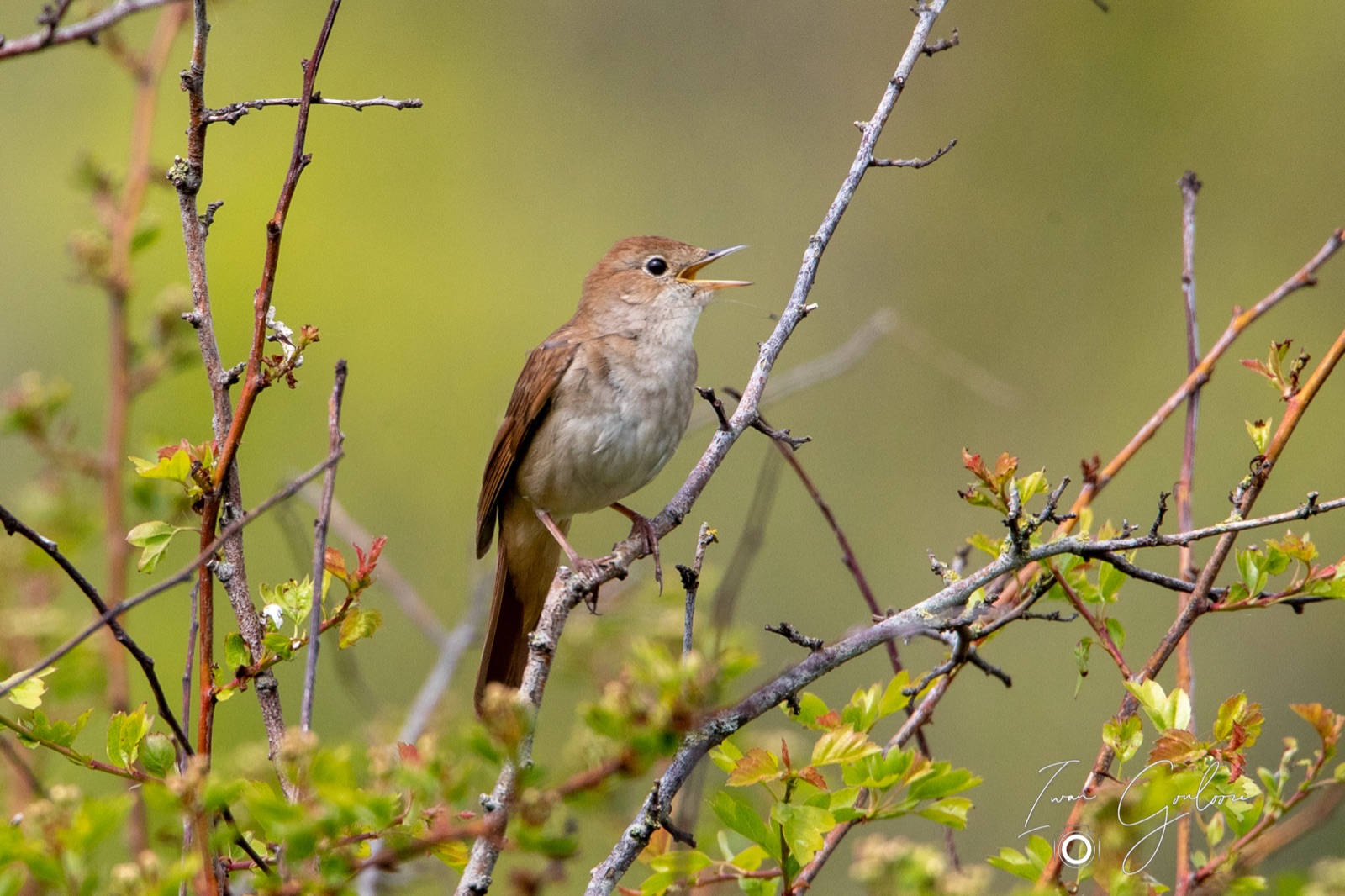 07 mei 2022 152711 1DX42290